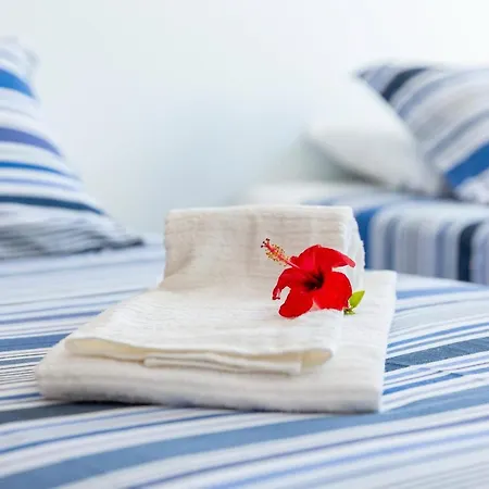 Apartment Quinta Do Romao Experience *